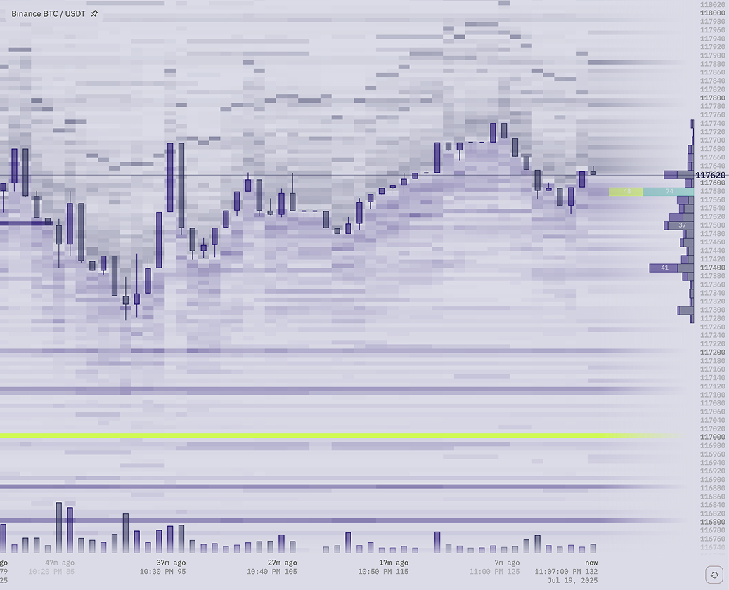 TapeSurf heatmap widget showing order book depth visualization